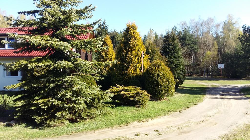 Agroturystyka Pod Klonem Villa Waglikowice Bagian luar foto