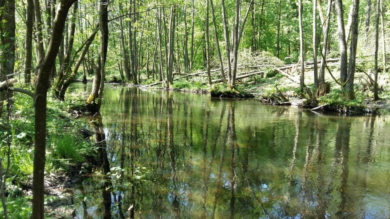 Agroturystyka Pod Klonem Villa Waglikowice Bagian luar foto