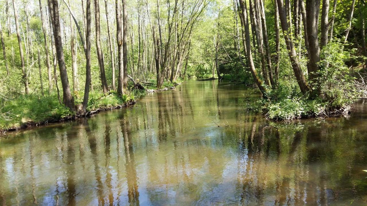 Agroturystyka Pod Klonem Villa Waglikowice Bagian luar foto